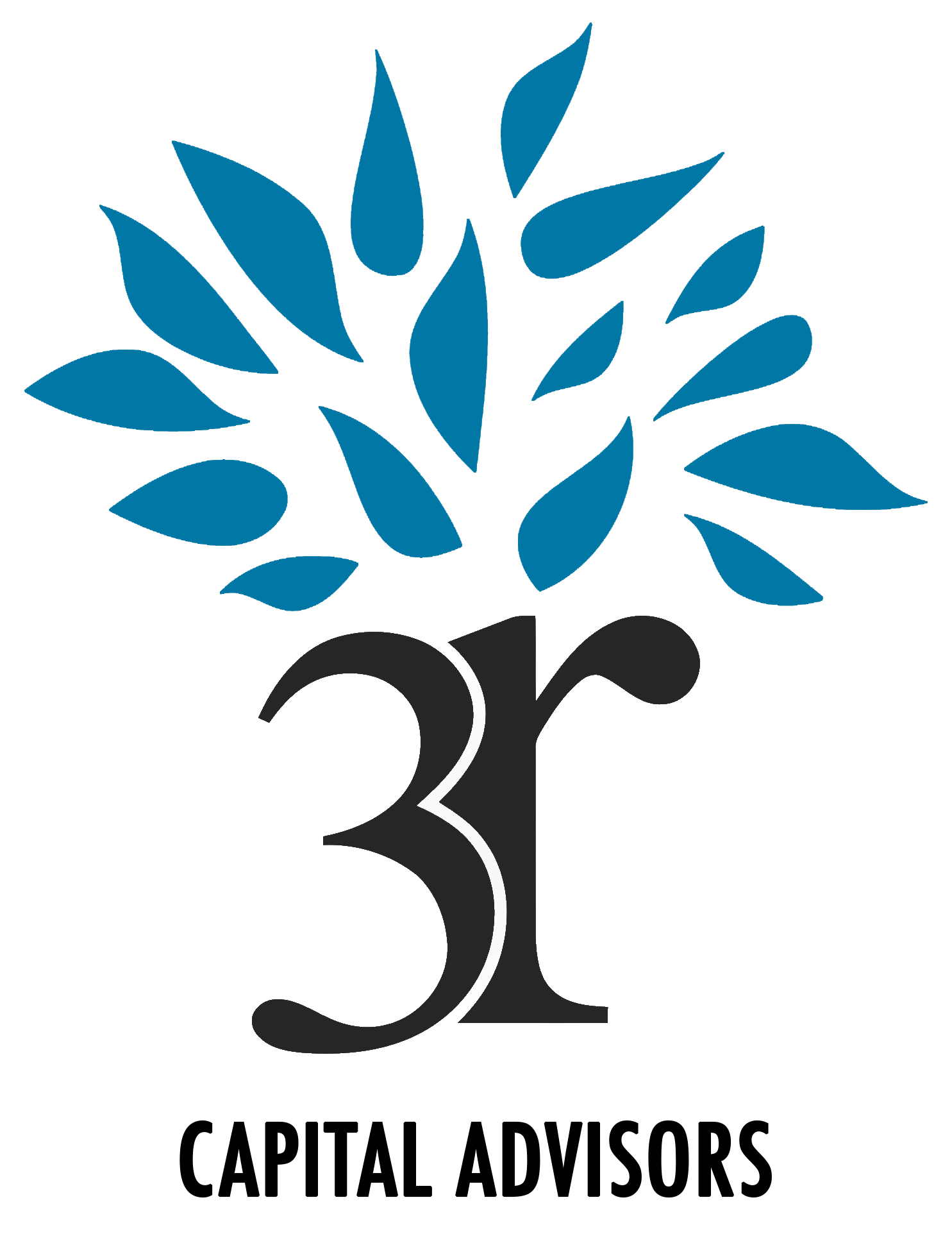 3R Capital Advisors